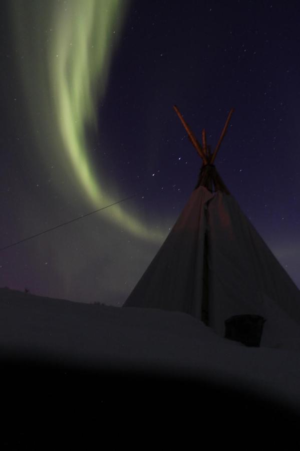 Lofoten Camp Stamsund Exteriér fotografie